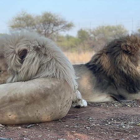 Simba Safaris African Pride Exotic Lodge Lephalale Luaran gambar
