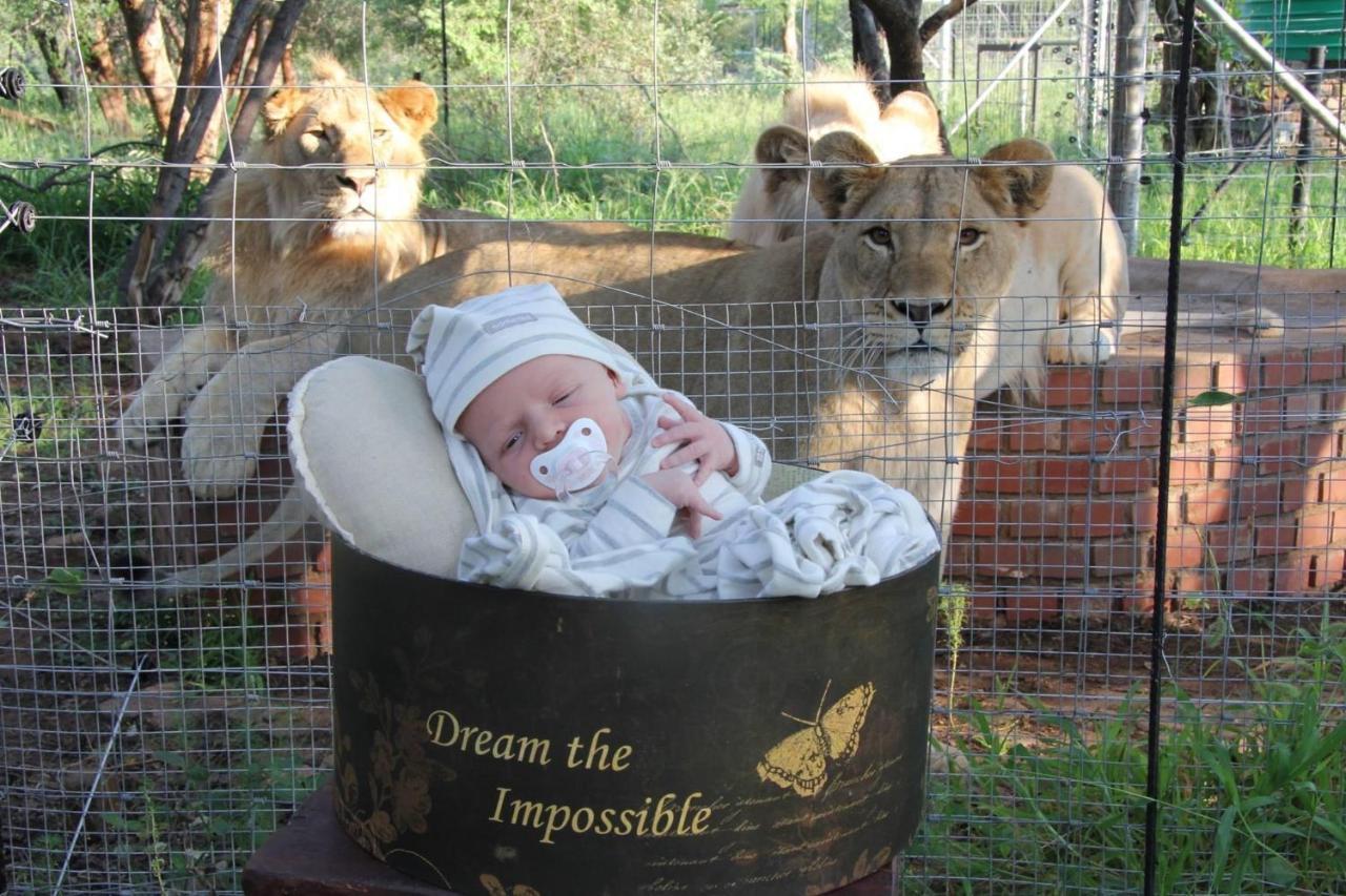Simba Safaris African Pride Exotic Lodge Lephalale Luaran gambar
