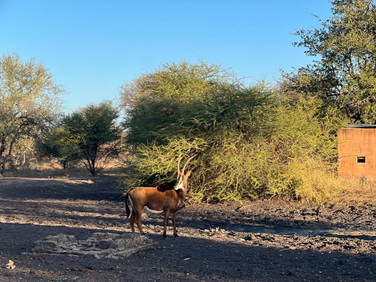 Simba Safaris African Pride Exotic Lodge Lephalale Luaran gambar