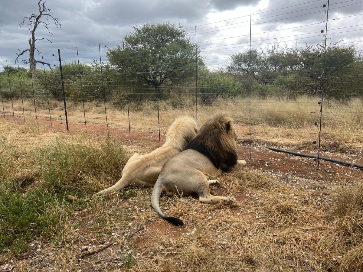 Simba Safaris African Pride Exotic Lodge Lephalale Luaran gambar