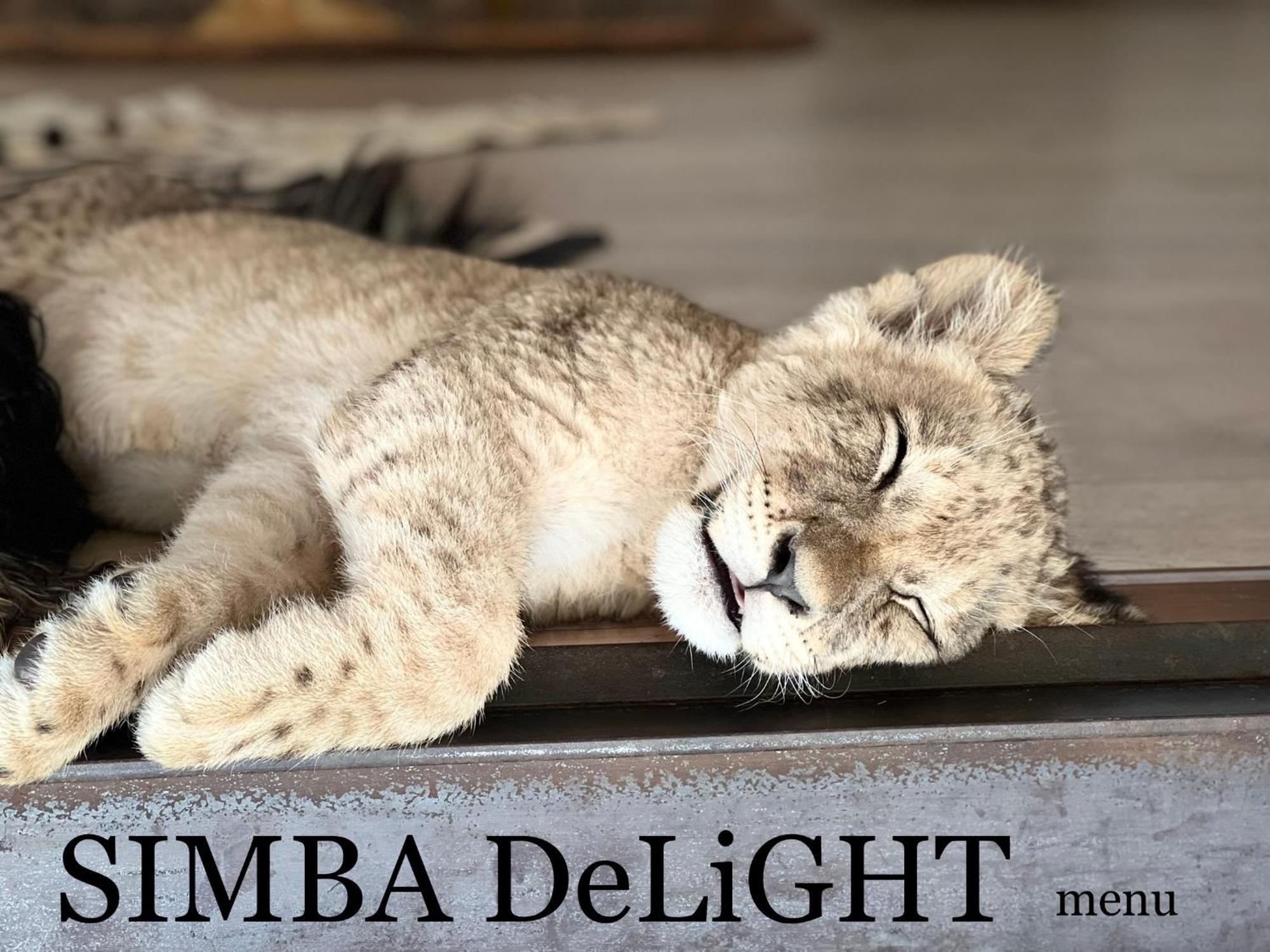 Simba Safaris African Pride Exotic Lodge Lephalale Luaran gambar