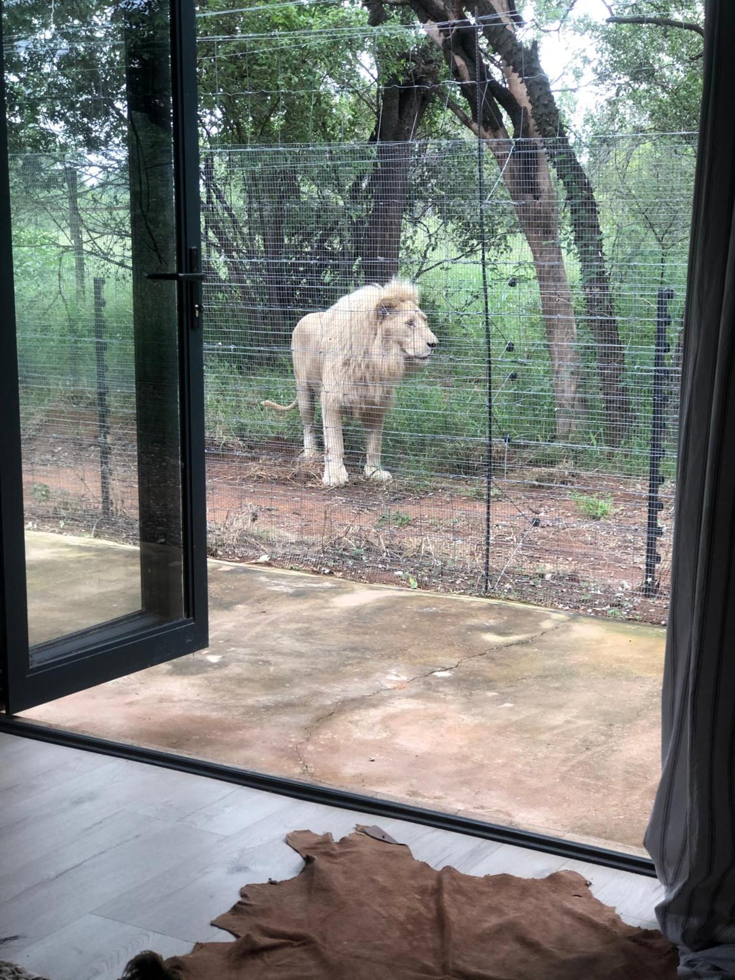 Simba Safaris African Pride Exotic Lodge Lephalale Luaran gambar