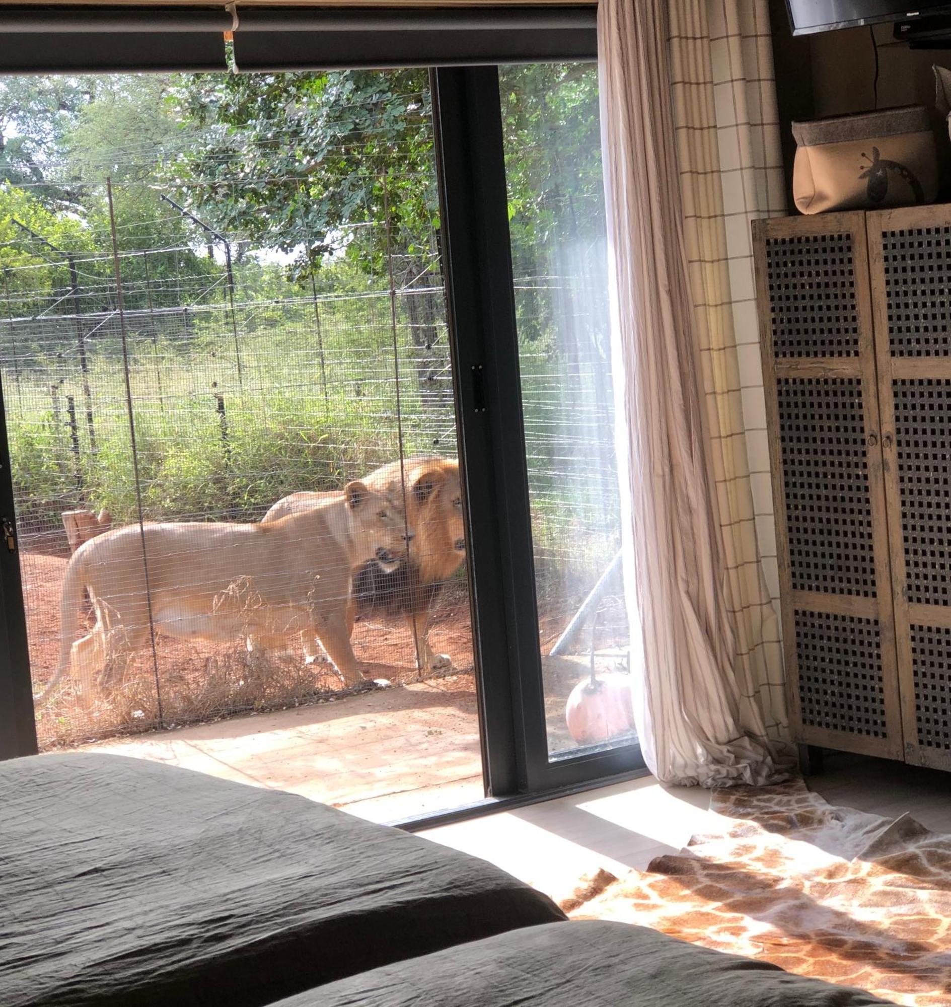Simba Safaris African Pride Exotic Lodge Lephalale Luaran gambar