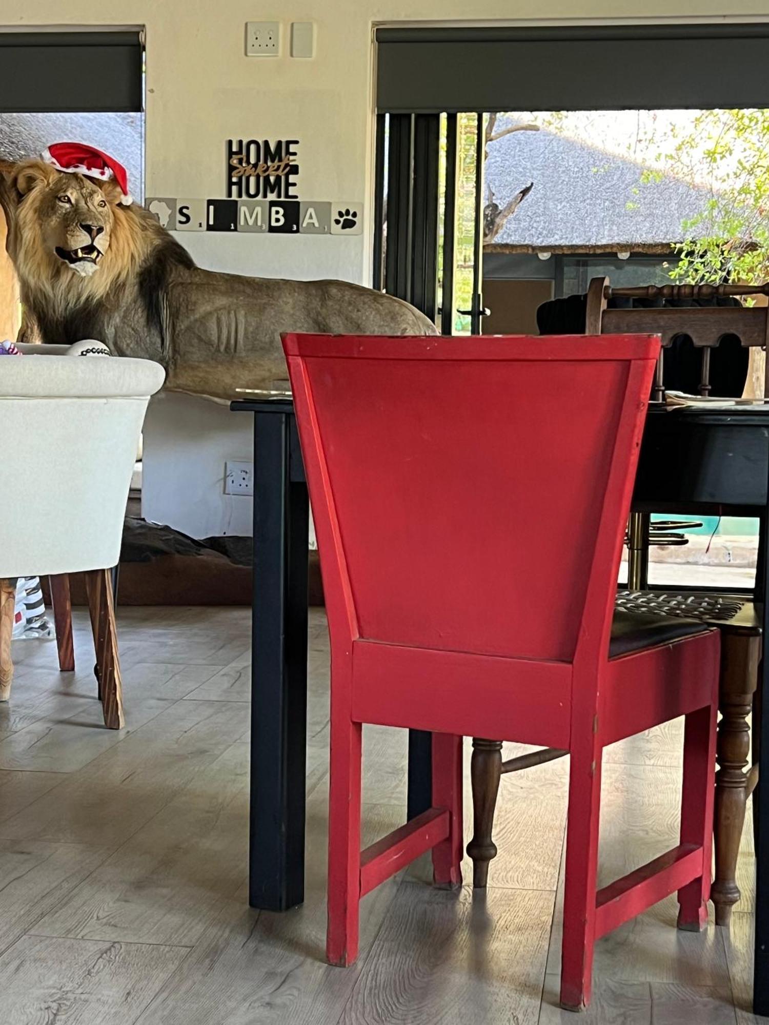 Simba Safaris African Pride Exotic Lodge Lephalale Luaran gambar
