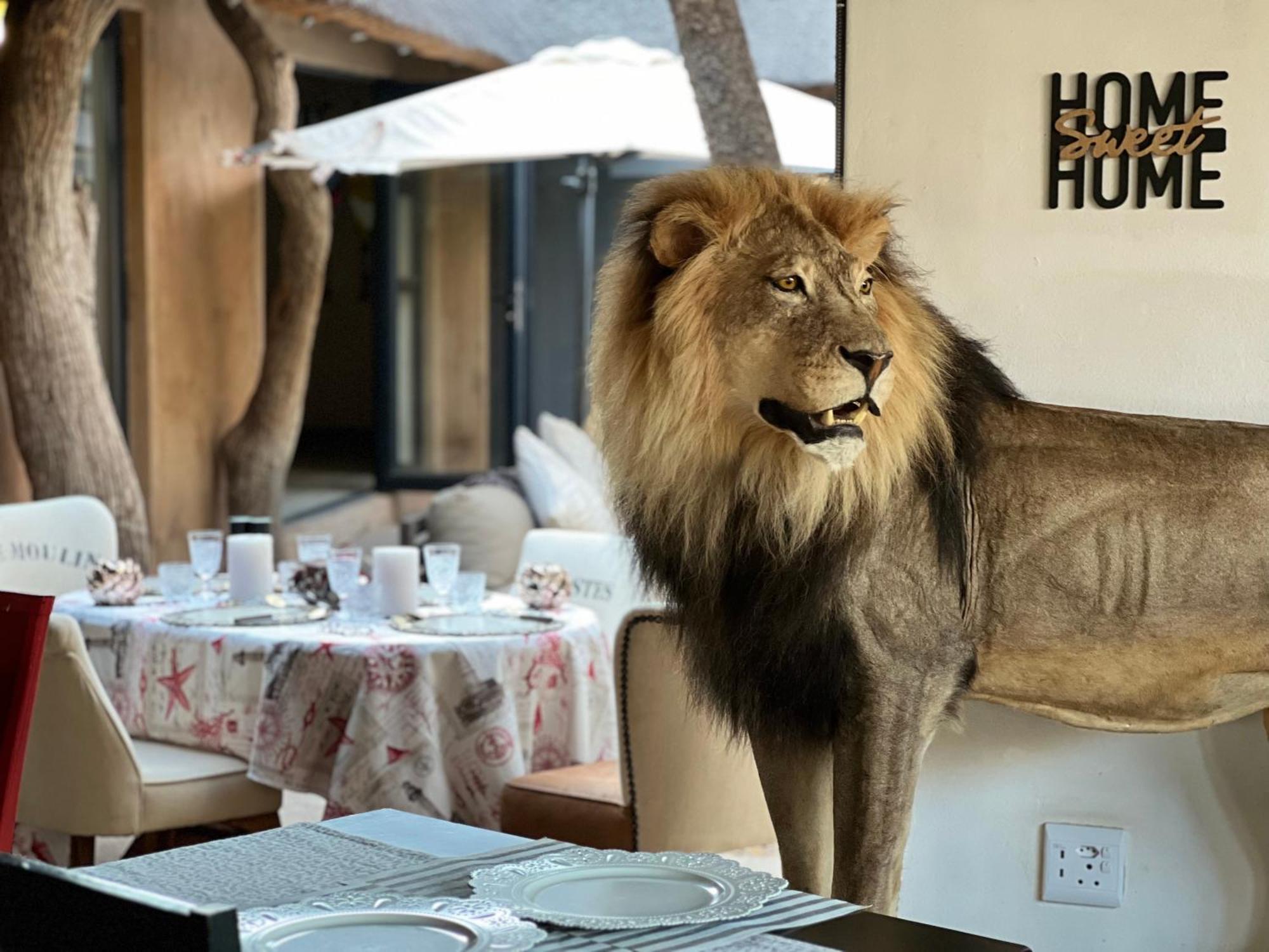 Simba Safaris African Pride Exotic Lodge Lephalale Luaran gambar